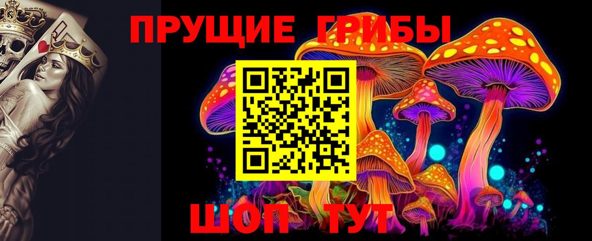 Галлюциногенные грибы Psilocybe Ревда